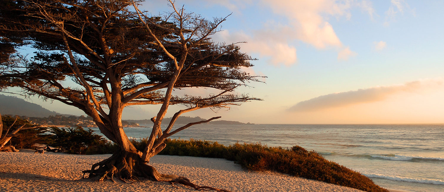 IDEALLY SEATED NEAR MONTEREY CA. TOP ATTRACTIONS